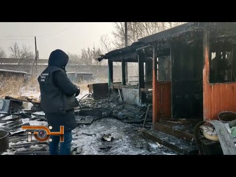 Дайджест происшествий