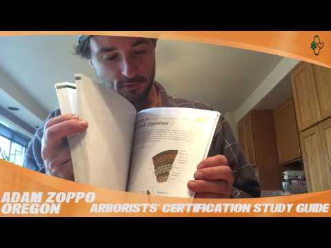 YouTube Thumbnail EDlbCGQwTsQ