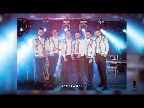 Trupa Art și Andrei Hereșanu - Tinere cu păr cărunt (Program Manele Live)