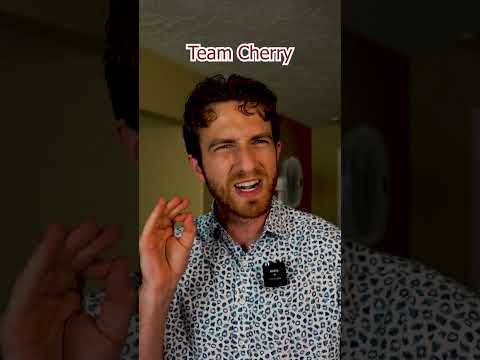 Team Cherry Is The Best Dev Studio #shorts