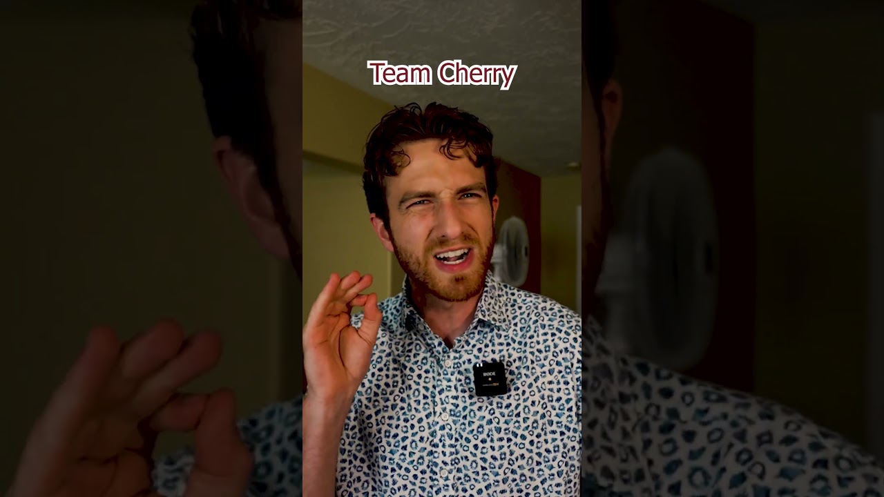 Team Cherry Is The Best Dev Studio #shorts