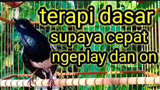 Download lagu terapi kacer supaya cepat ngeplay dan bongkar isian mp3 Download lagu terapi kacer supaya cepat ngeplay dan bongkar isian mp3