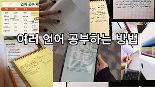 현실적인 n개국어 공부법