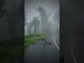 Manju Mazha Kattil Whatsapp Status
