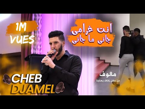 Cheb Djamel - Malouf - Enti Gharami - Jani Ma Jani - انت غرامي _ جاني ما جاني