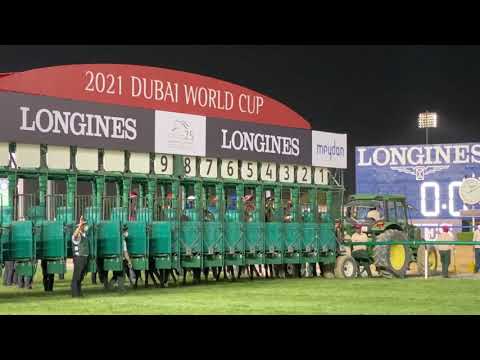 MISHRIFF 🇬🇧 — G1 Dubai Sheema Classic ($5,000,000)