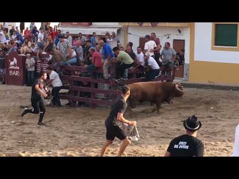 Largada de Toiros (Mulher Colhida) Samora Correia 1º dia