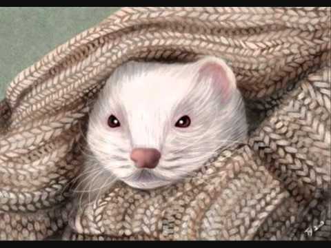 Six mètres - Olivia Ruiz Christian Olivier