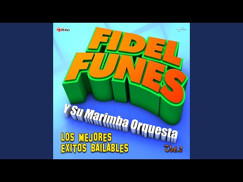 Capullo De Rosa Blanca