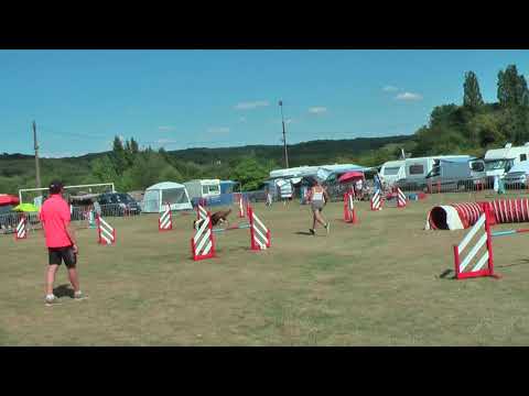 Sun jumping 15 07 18