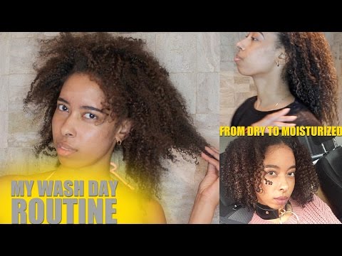 My Wash Day Routine | Featuring Alodia Hair Care