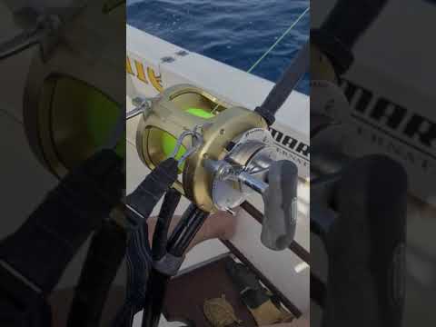 El primer atún rojo 2021 - Cavalier & Blue Marlin Sport Fishing Gran Canaria