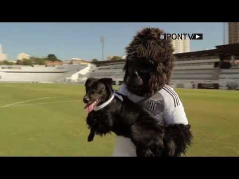 #PONTESOCIAL - Macaca Pet Day