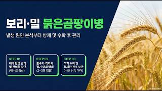 [농사정보] 보리&밀_곡물에 숨겨진 위험  붉은곰팡이병