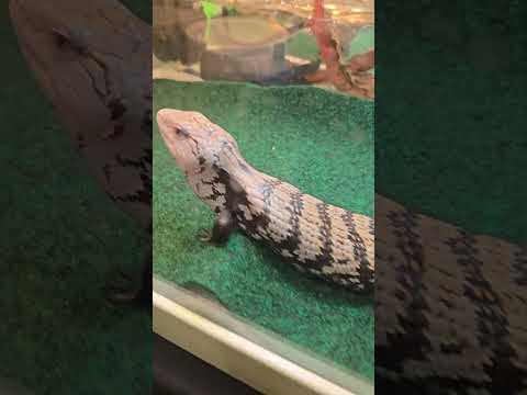 Modern Monochrome 😁 Monocromático Moderno