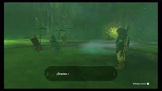 Kingdom's Bitter Tears: Zelda's Quest to Reclaim the Lost Throne