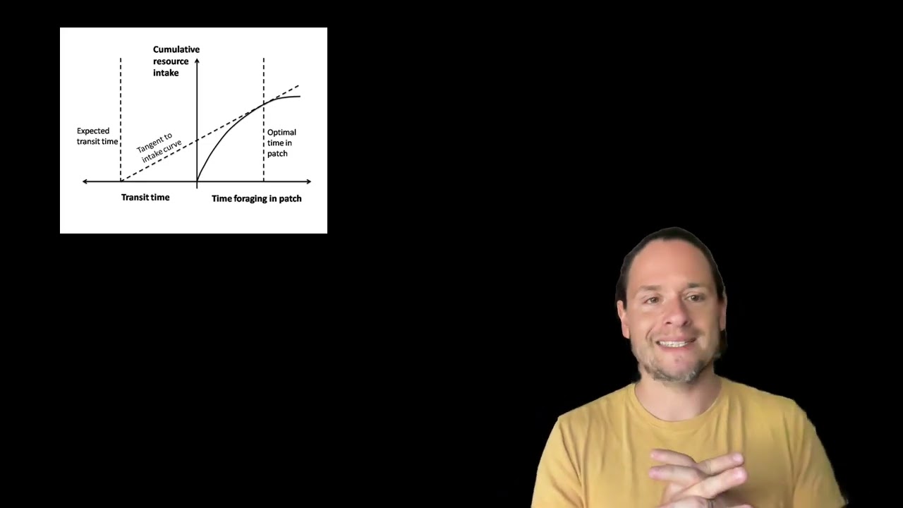 Optimal Foraging Theory
