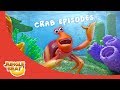 Happy Hermitcrab JB S3 Animal Compilation 4