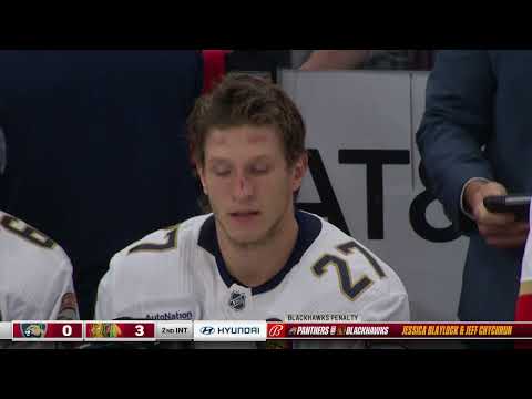 Florida Panthers Hyundai