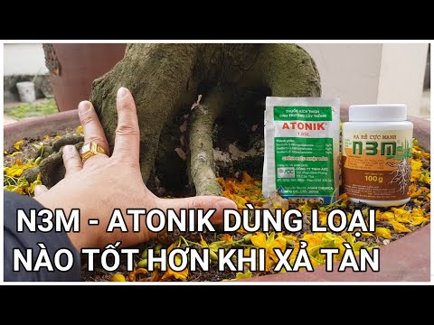 🔴 QBS2297 - N3M VÀ ATONIK DÙNG LOẠI NÀO TỐT HƠN SAU KHI CẮT XẢ TÀN || CÁCH DÙNG N3M CÁCH DÙNG ATONIK