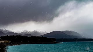 No Questions Asked - Fleetwood Mac (Cover by Wayne Wang)