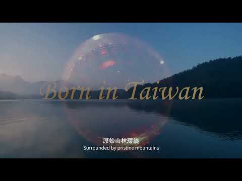 OMAR Single Malt Whisky│ Nantou Distillery