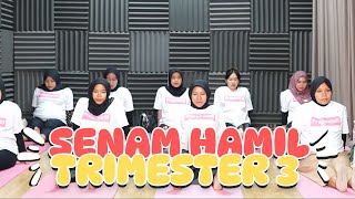 Download lagu Senam Ibu Hamil Trimester 3 Persiapan Persalinan || Bidan Novia, Amd, Keb - Medikacare mp3