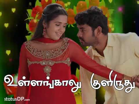 Neelangarayil song status