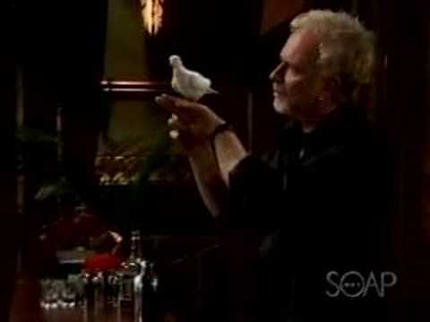 General Hospital, Luke and Traineddoves.com