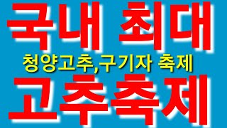 청양고추,구기자축제
고추축제 가수 송대관 김범수 신승훈 조성모 코요테 출연 고추가격 고추시세 고추가루 고춧가…