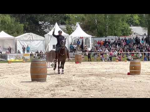 Working Equitation - Speedtrail - Mihai Maldea - Pferd International München 2022