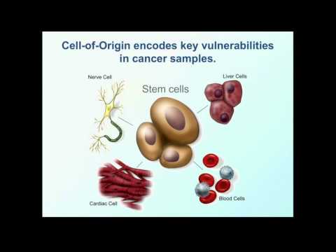 Toward Pathway-and Pancancer-Guided Interpretation of an Individual’s Cancer Genome