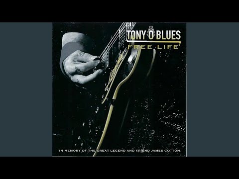 Tony O Guitar Boogie