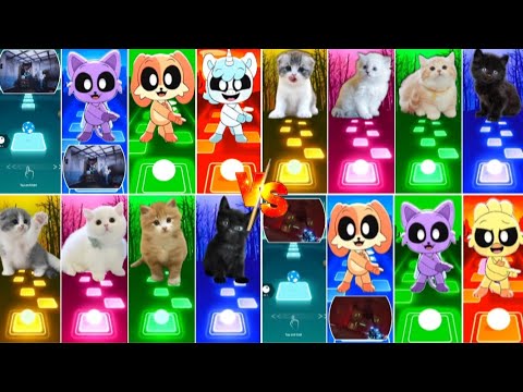 📹 ALL CUTE CATS PT.5 - IMAGINE DRAGONS ENEMY - JISOO FLOWER   SHAKIRA WAKA WAKA - LISA MONEY