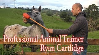 Train Any Animal or Pet | Guest Animal Trainer Ryan