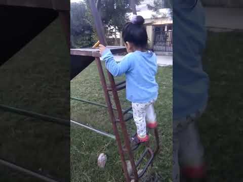 #prabuddha #play #sliding #happy #shots #shorts #reels #reel #video #fun #love #cute #sweet #status