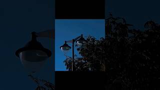 Download lagu https:yzmko//youtube.1086com/shor mp3