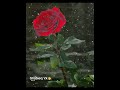 Malayalam Song Status Malayalam Song Whatsapp Status Malayalam Song Status