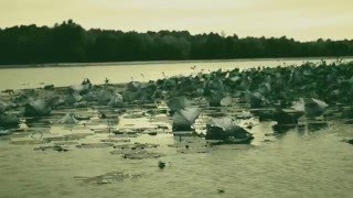 Night Planes // Kesang Marstrand