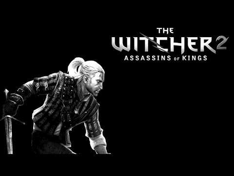 the witcher 2: assassins of kings # встреча с Лето