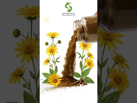 Arnica Dry Extract