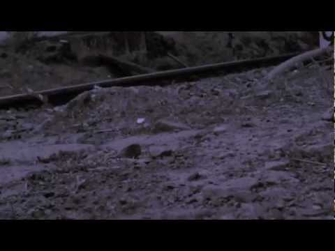 Andreas Grega - Liv Död