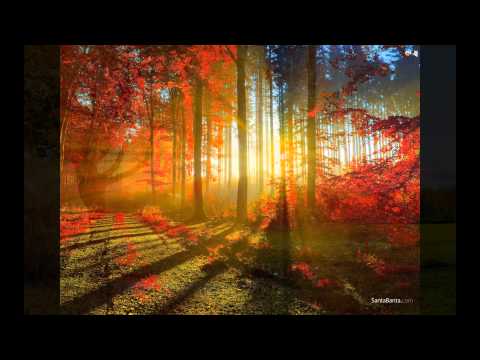 Witold Krukowski gra na akordeonie Karnawał wenecki