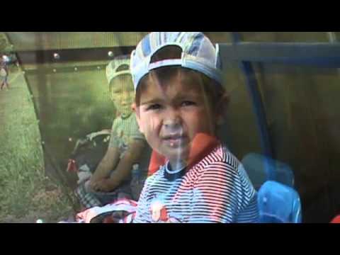 Noroc Stejaul Goruna Cocorastii Mislii