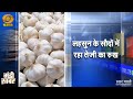 Mandi Khabar मंडी खबर लहसुन के सौदों में रहा त�