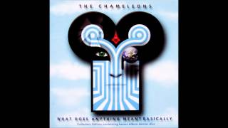 The Chameleons - P.S. Goodbye