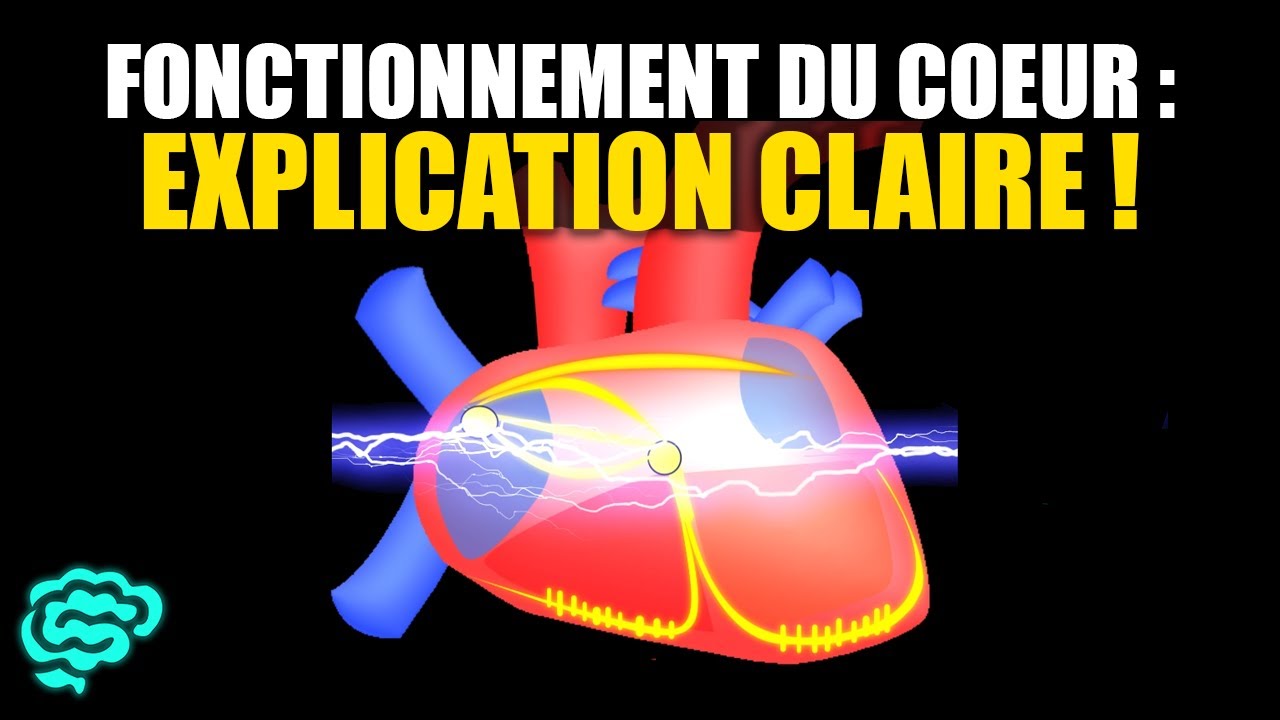 🔴 La Physiologie Cardiaque Expliquée Très Clairement par Dr Astuce