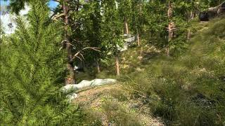 Skyrim VR Realistic Forests and Lighting Guide (skyrimVR graphic mods)