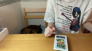 チャーの寝かしつけパズル雑談