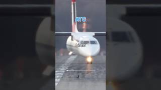 Download lagu Spirit LOSES Runway To Bird ๐ mp3 Download lagu Spirit LOSES Runway To Bird ๐ mp3